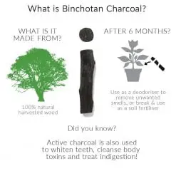 binchotan charcoal water filter info 2