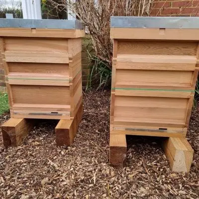 greenerlyfe bee hives