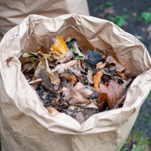 Biodegradable Garden Waste Bags 1