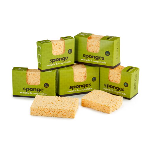 biodegradable sponges