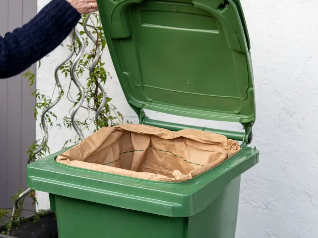 compostable bags for the green bin