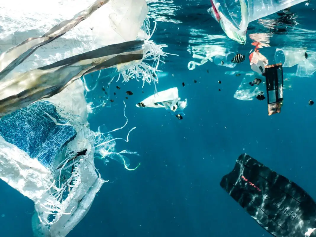 biodegradable plastics cannot degrade in the ocean