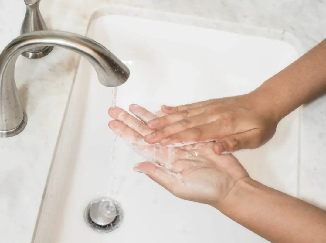 bar soap vs liquid soap hygiene and bacteria